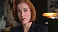 x-filesa095.jpg
