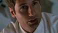 x-files-390.jpg