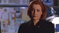 x-files281.jpg