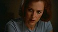x-files233.jpg