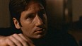 x-files235.jpg