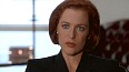 x-files328.jpg