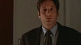 x-files384.jpg