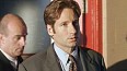 x-files494.jpg