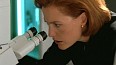x-files548.jpg