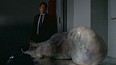 x-files591.jpg
